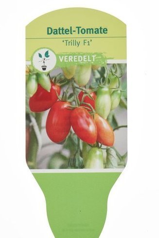Dattel-Tomate veredelt Trilly F1