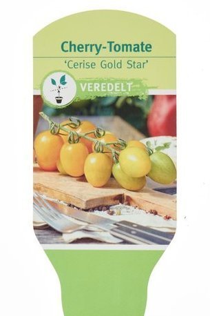 Cherry Tomate veredelt Cerise Gold Star