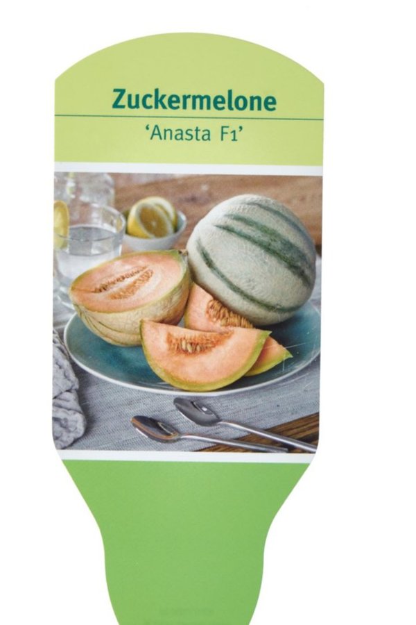Zuckermelone Anasta