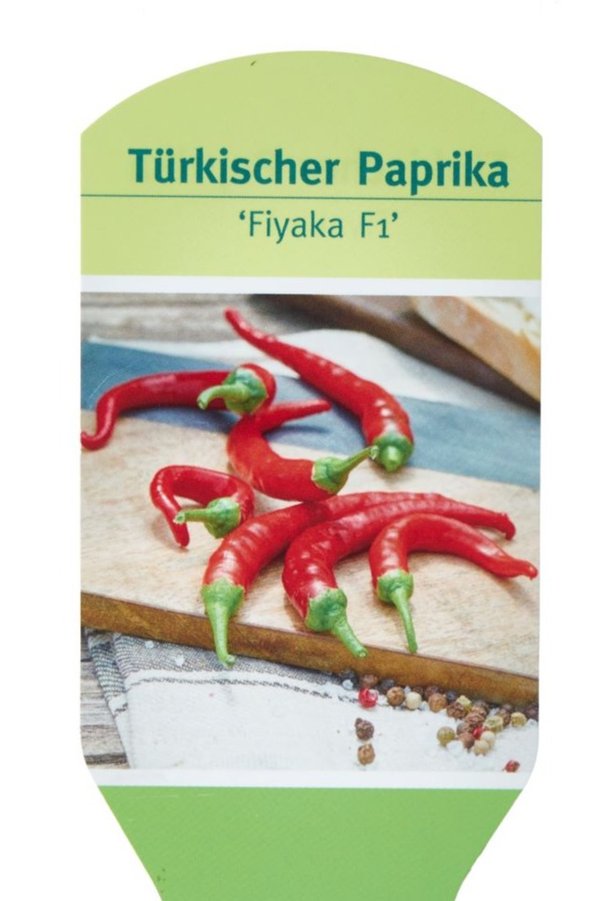 Türiksche Paprika Fiyaka F1
